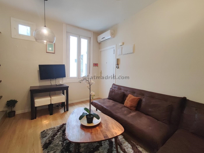 Apartment in Centro of 1 Bedroom #1971 in Madrid