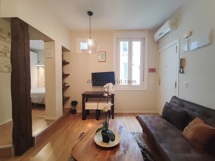 Apartment in Centro of 1 Bedroom #1971 in Madrid
