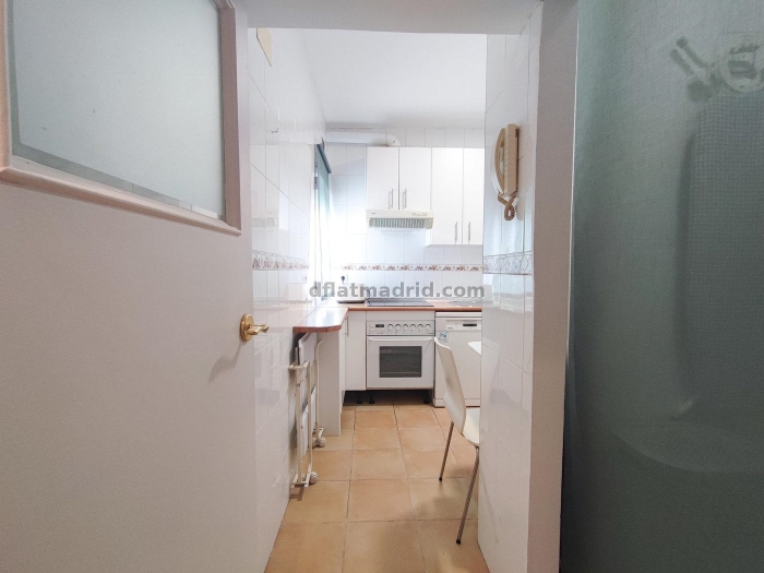 Spacious Apartment in Salamanca of 2 Bedrooms with terrace #1982 in Madrid